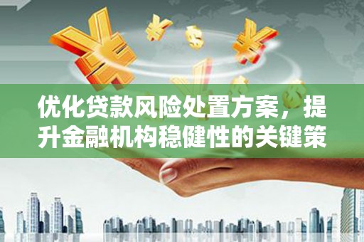 雅江优化贷款风险处置方案，提升金融机构稳健性的关键策略
