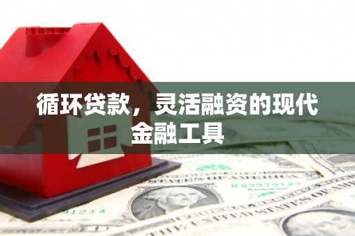 雅江循环贷款，灵活融资的现代金融工具