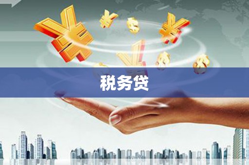 雅江税务贷