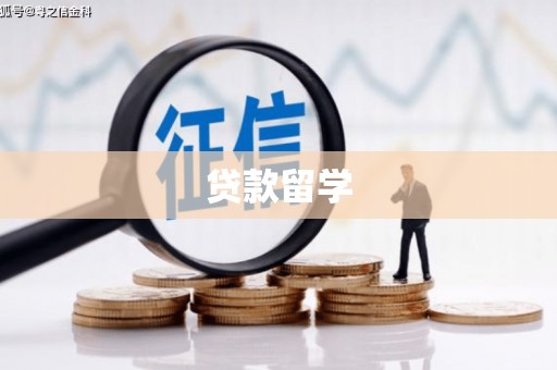 雅江贷款留学
