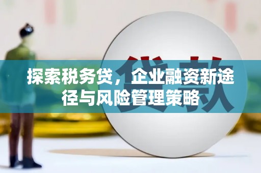 雅江探索税务贷，企业融资新途径与风险管理策略