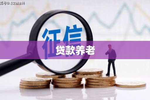 雅江贷款养老