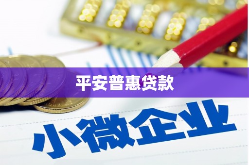 雅江平安普惠贷款