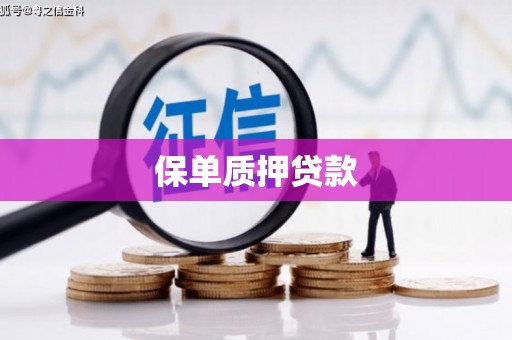 雅江保单质押贷款