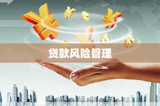 雅江贷款风险管理