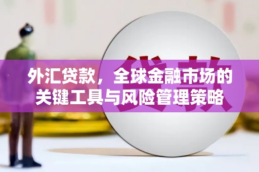 雅江外汇贷款，全球金融市场的关键工具与风险管理策略