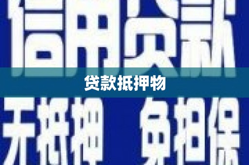 雅江贷款抵押物