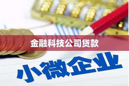 雅江金融科技公司贷款