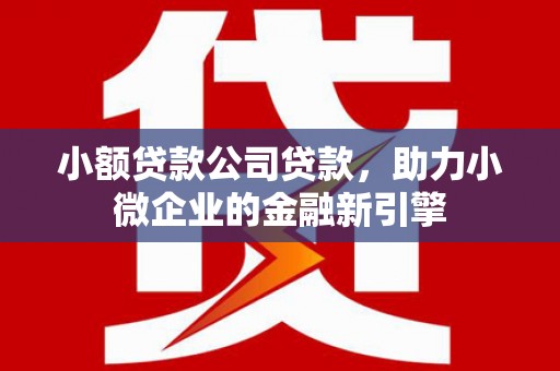 雅江小额贷款公司贷款，助力小微企业的金融新引擎
