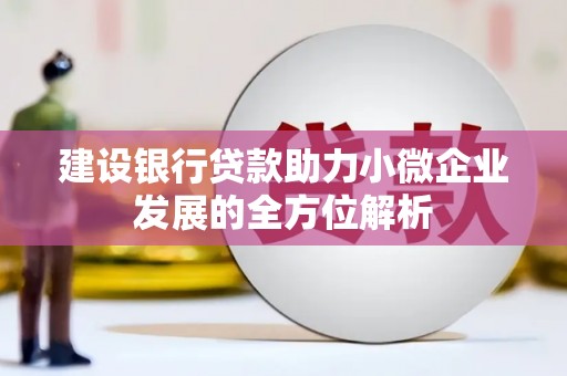 雅江建设银行贷款助力小微企业发展的全方位解析