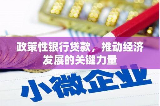 雅江政策性银行贷款，推动经济发展的关键力量