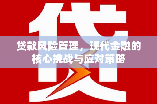 雅江贷款风险管理，现代金融的核心挑战与应对策略