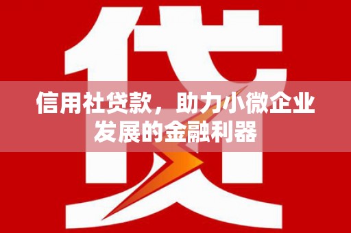 雅江信用社贷款，助力小微企业发展的金融利器
