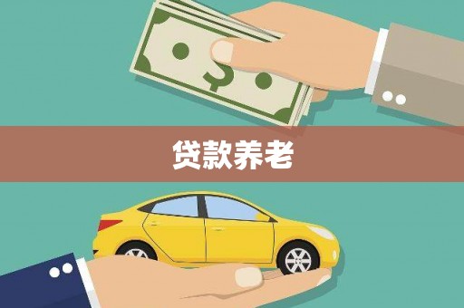 雅江贷款养老