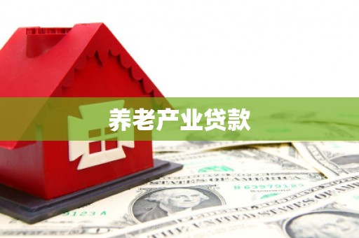 雅江养老产业贷款