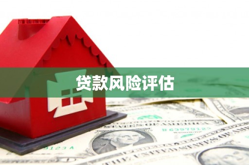 雅江贷款风险评估