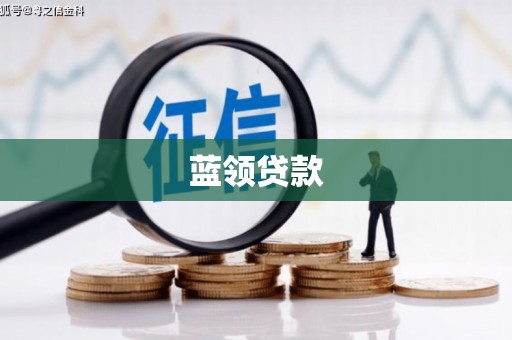雅江蓝领贷款
