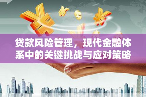雅江贷款风险管理，现代金融体系中的关键挑战与应对策略