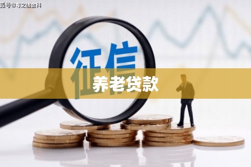 雅江养老贷款
