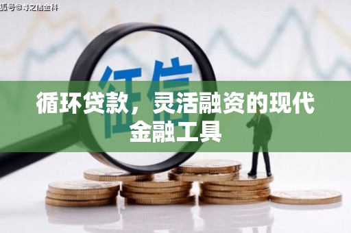 雅江循环贷款，灵活融资的现代金融工具