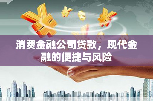 雅江消费金融公司贷款，现代金融的便捷与风险