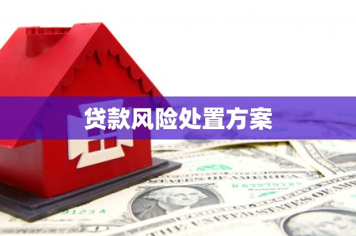 雅江贷款风险处置方案