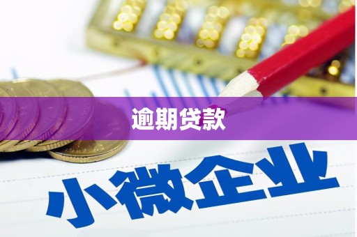 雅江逾期贷款
