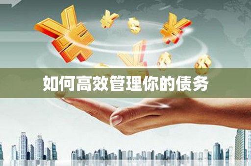 雅江如何高效管理你的债务