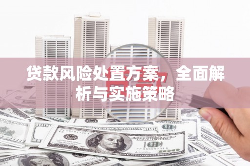 雅江贷款风险处置方案，全面解析与实施策略