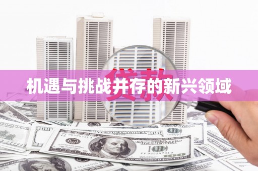 雅江机遇与挑战并存的新兴领域