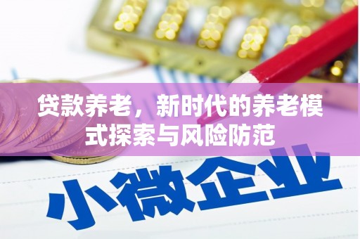 雅江贷款养老，新时代的养老模式探索与风险防范