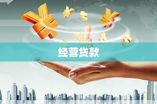 雅江经营贷款