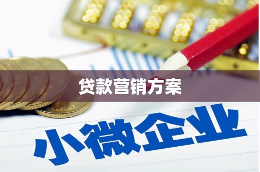 雅江贷款营销方案