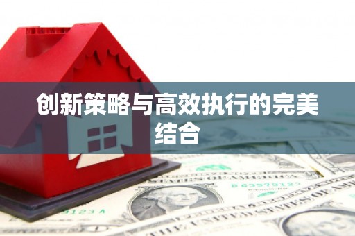 雅江创新策略与高效执行的完美结合