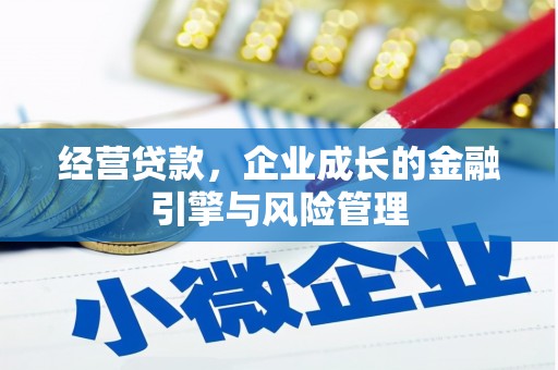 雅江经营贷款，企业成长的金融引擎与风险管理