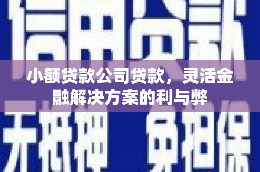 雅江小额贷款公司贷款，灵活金融解决方案的利与弊